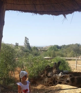 Я с жирафом