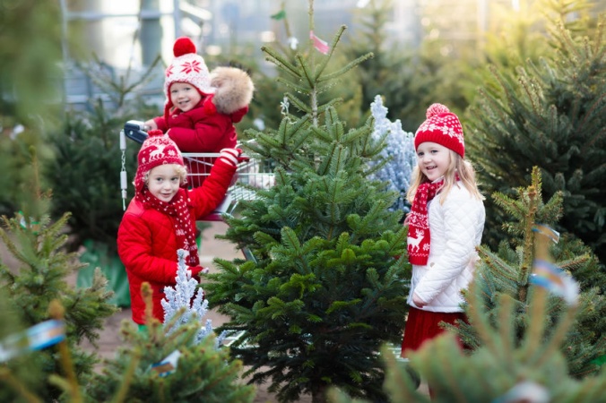 Дед Мороз посоветовал россиянам ставить дома ёлки в горшках