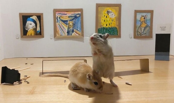 Сотрудники художественной галереи в Лондоне провели выставку для мышей. Грызуны оказались настоящими ценителями искусства