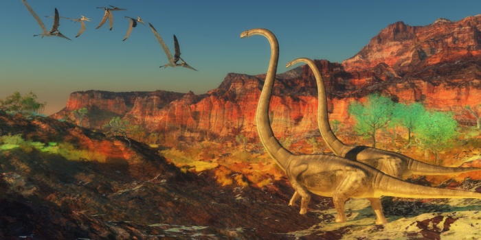 Знакомьтесь  с австралотитаном: еще один динозавр-гигант