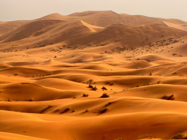 «О природе и погоде»: Пустыни