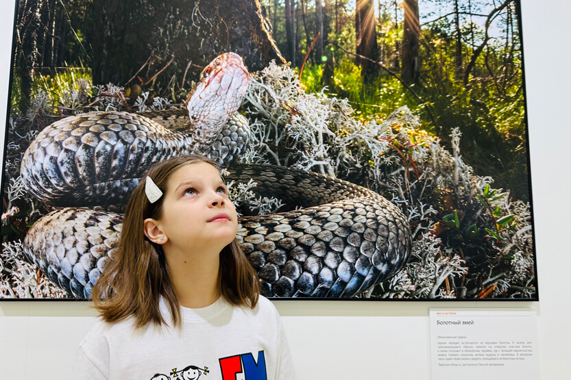 2. Без подписи