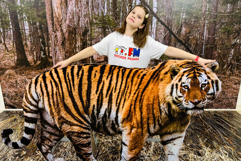 6. Без подписи